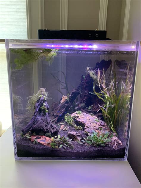 fishtank reddit